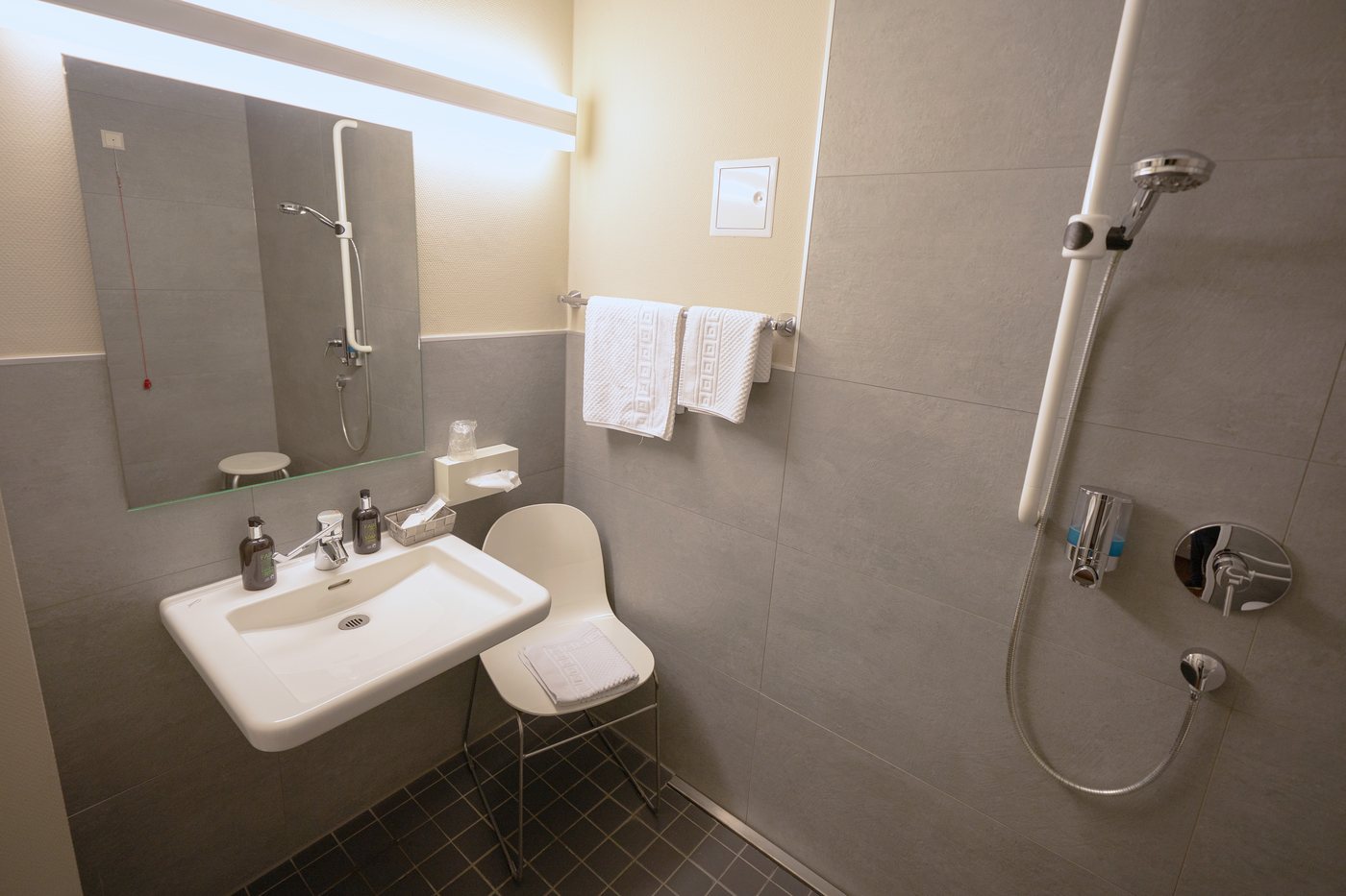 Wheelchair-accessible bathroom with level-access shower at Sebcity Hotel